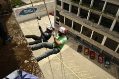 355